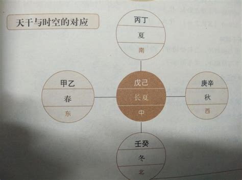 大運天干地支|【基礎教學】認識天干地支｜13點讓你快速了解天干地